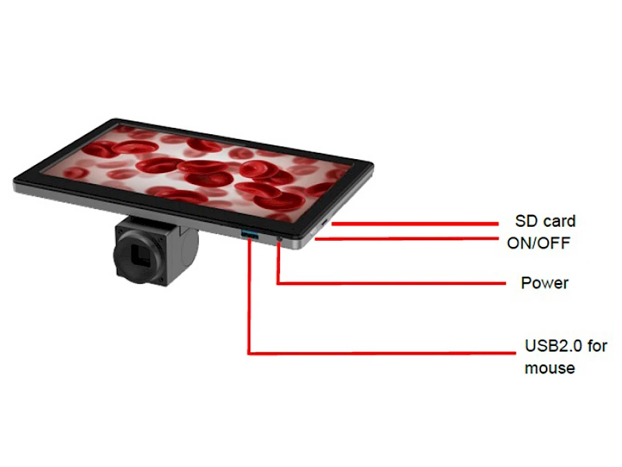 Structure of YW090C Screen