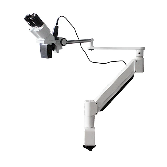 Economic Digital Dental Laboratory Microscope Dental Operation Equipment with Universal Clamp for Portable Root Canal Surgery