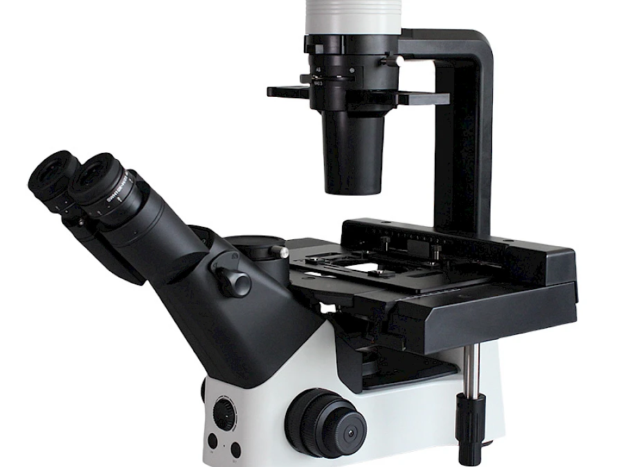 BLD-330PH Inverted Phase Contrast Microscope